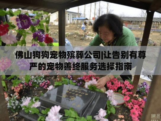 佛山狗狗宠物殡葬公司|让告别有尊严的宠物善终服务选择指南
