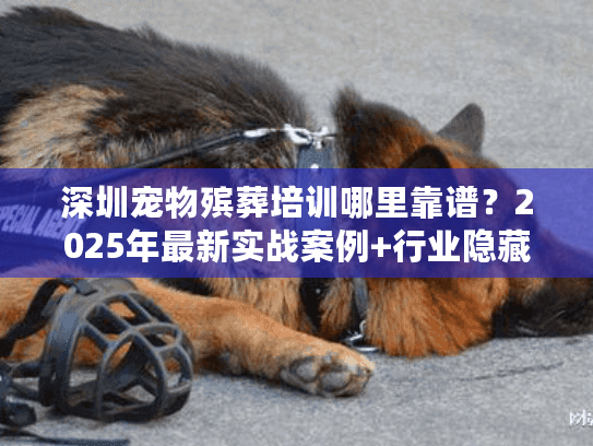 深圳宠物殡葬培训哪里靠谱？2025年最新实战案例+行业隐藏门道全揭秘