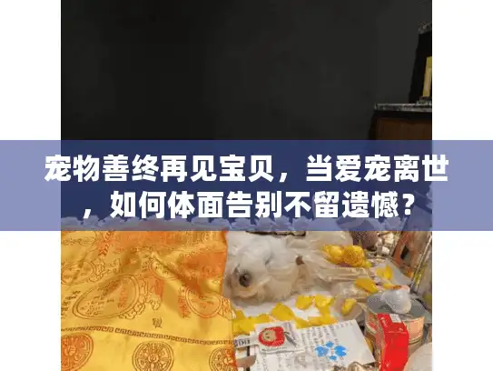 宠物善终再见宝贝,当爱宠离世,如何体面告别不留遗憾? 宠物善终再见宝贝,当爱宠离世,如何体面告别不留遗憾?