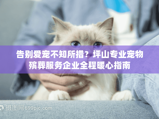 告别爱宠不知所措？坪山专业宠物殡葬服务企业全程暖心指南