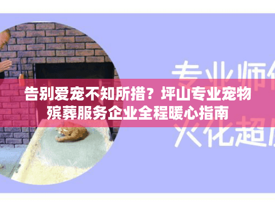 告别爱宠不知所措？坪山专业宠物殡葬服务企业全程暖心指南