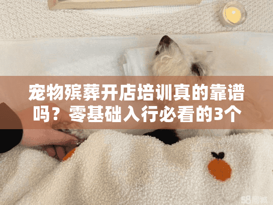 宠物殡葬开店培训真的靠谱吗？零基础入行必看的3个实操技巧+1个真实案例拆解