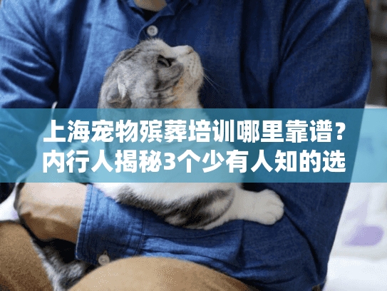 上海宠物殡葬培训哪里靠谱？内行人揭秘3个少有人知的选校标准