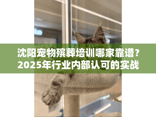 沈阳宠物殡葬培训哪家靠谱？2025年行业内部认可的实战课程大曝光