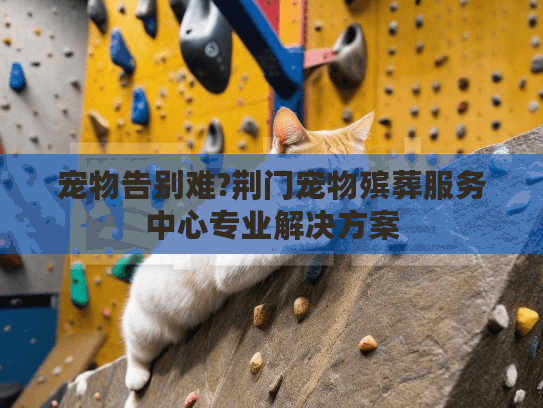 宠物告别难?荆门宠物殡葬服务中心专业解决方案