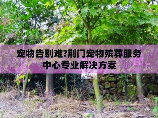 宠物告别难?荆门宠物殡葬服务中心专业解决方案