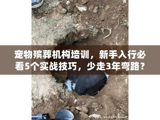宠物殡葬机构培训，新手入行必看5个实战技巧，少走3年弯路？