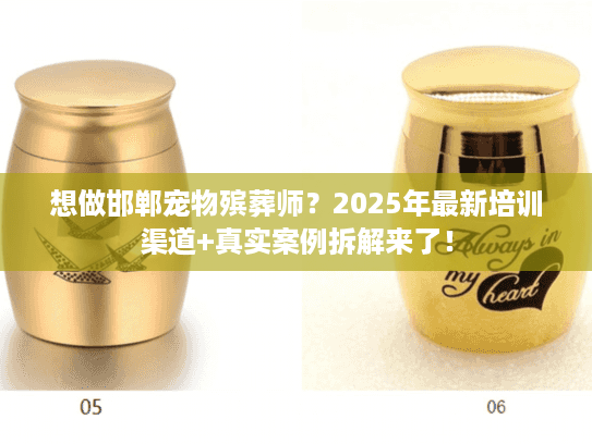 想做邯郸宠物殡葬师？2025年最新培训渠道+真实案例拆解来了！