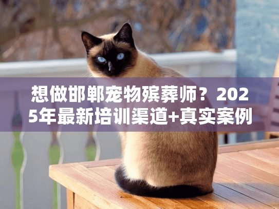 想做邯郸宠物殡葬师？2025年最新培训渠道+真实案例拆解来了！