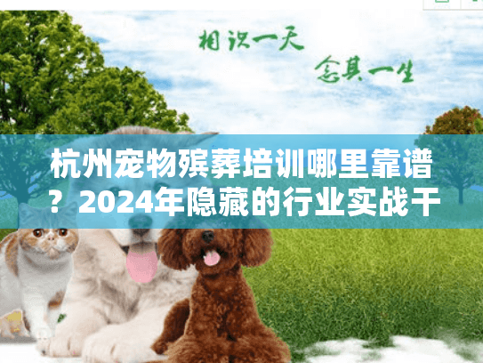 杭州宠物殡葬培训哪里靠谱？2024年隐藏的行业实战干货首次公开！