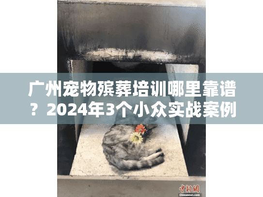 广州宠物殡葬培训哪里靠谱？2024年3个小众实战案例帮你避坑