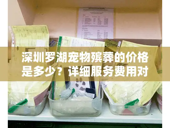 深圳罗湖宠物殡葬的价格是多少？详细服务费用对比与省钱建议