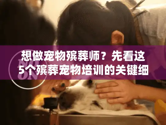 想做宠物殡葬师？先看这5个殡葬宠物培训的关键细节（90%的人不知道）