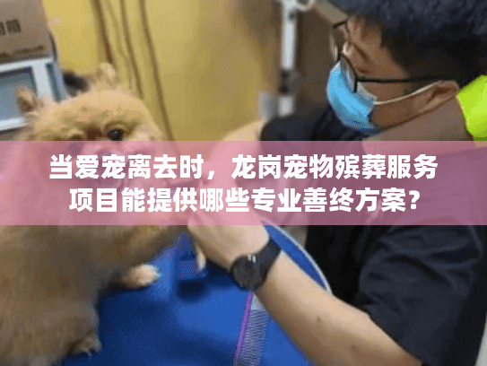 当爱宠离去时，龙岗宠物殡葬服务项目能提供哪些专业善终方案？