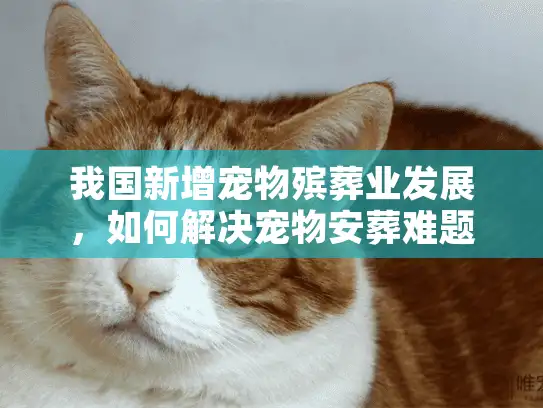 我国新增宠物殡葬业发展，如何解决宠物安葬难题？