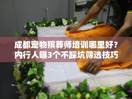 成都宠物殡葬师培训哪里好？内行人曝3个不踩坑筛选技巧