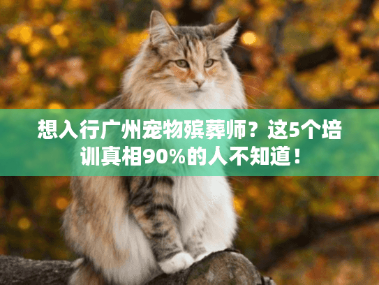 想入行广州宠物殡葬师？这5个培训真相90%的人不知道！