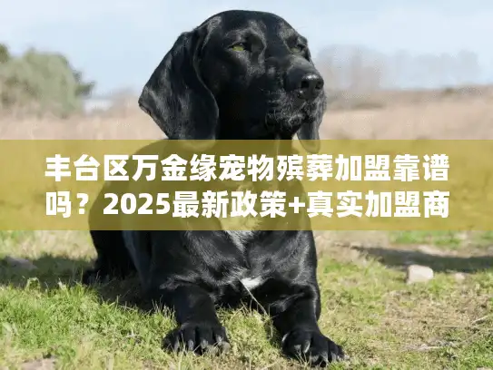 丰台区万金缘宠物殡葬加盟靠谱吗?2025最新政策+真实加盟商案例曝光 丰台区万金缘宠物殡葬加盟靠谱吗?2025最新政策+真实加盟商案例曝光