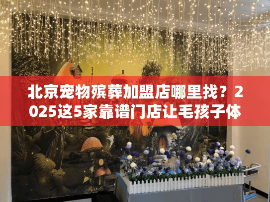 北京宠物殡葬加盟店哪里找？2025这5家靠谱门店让毛孩子体面告别