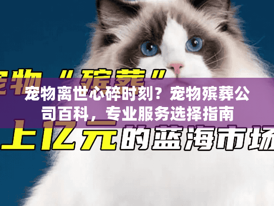 宠物离世心碎时刻？宠物殡葬公司百科，专业服务选择指南