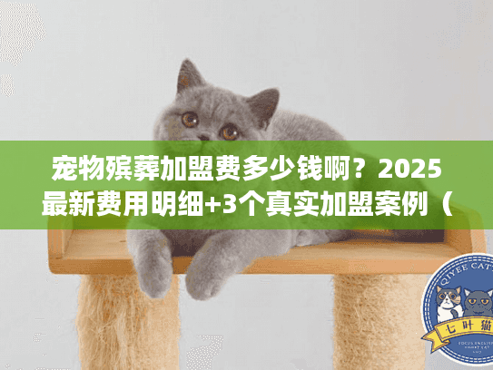 宠物殡葬加盟费多少钱啊？2025最新费用明细+3个真实加盟案例（少有人知的成本陷阱）