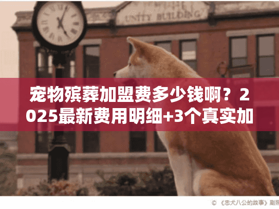 宠物殡葬加盟费多少钱啊？2025最新费用明细+3个真实加盟案例（少有人知的成本陷阱）