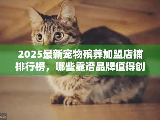 2025最新宠物殡葬加盟店铺排行榜，哪些靠谱品牌值得创业者选择？