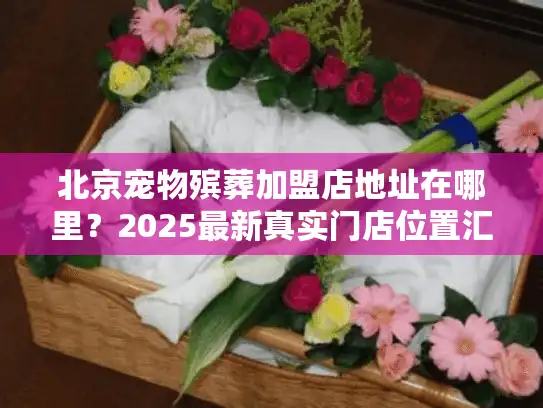 北京宠物殡葬加盟店地址在哪里？2025最新真实门店位置汇总（附用户实测推荐）