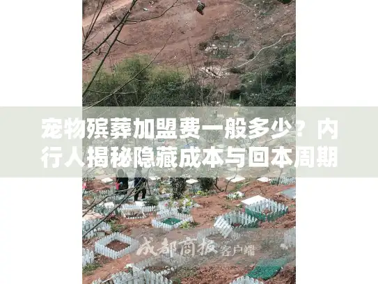宠物殡葬加盟费一般多少？内行人揭秘隐藏成本与回本周期
