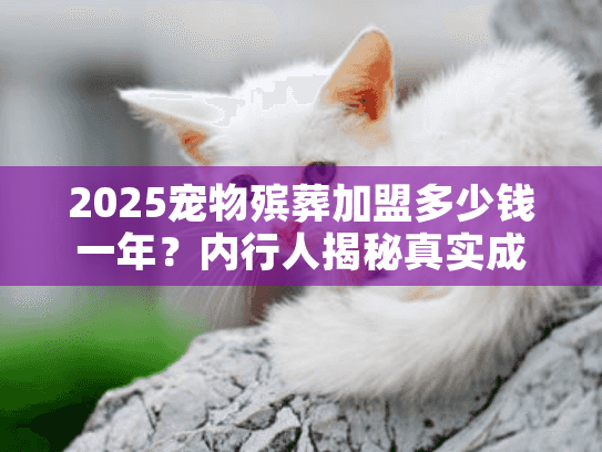 2025宠物殡葬加盟多少钱一年？内行人揭秘真实成本+盈利案例（稀缺干货）