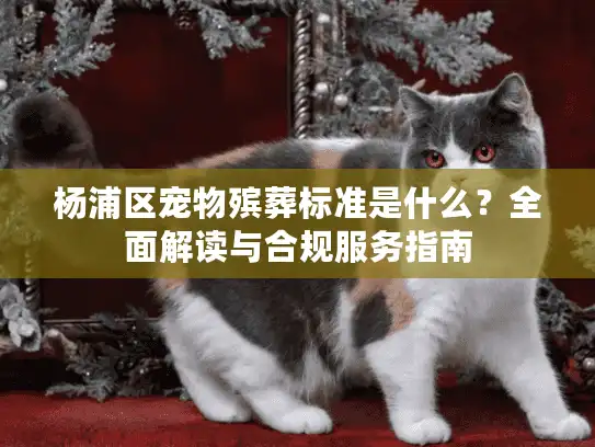 杨浦区宠物殡葬标准是什么？全面解读与合规服务指南