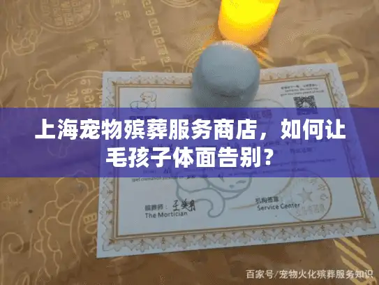 上海宠物殡葬服务商店，如何让毛孩子体面告别？