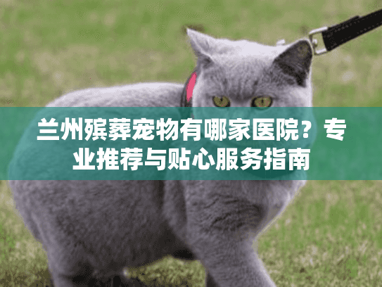 兰州殡葬宠物有哪家医院？专业推荐与贴心服务指南