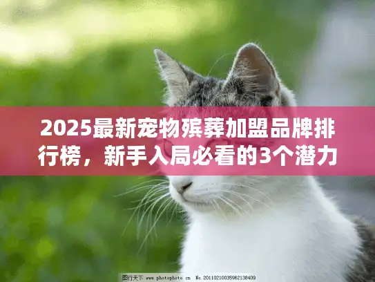2025最新宠物殡葬加盟品牌排行榜，新手入局必看的3个潜力品牌！