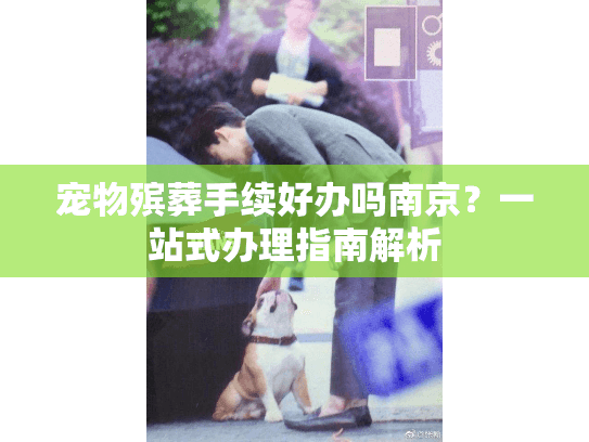 宠物殡葬手续好办吗南京？一站式办理指南解析