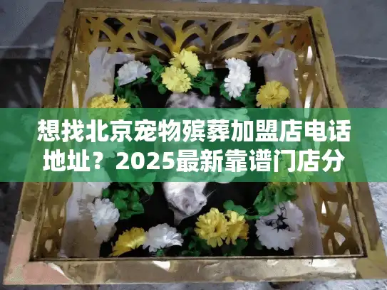 想找北京宠物殡葬加盟店电话地址？2025最新靠谱门店分享+避坑指南