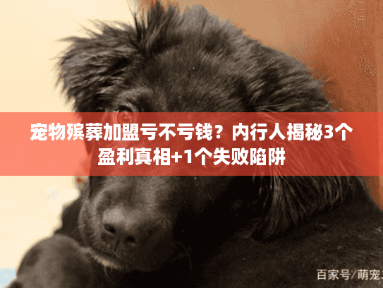 宠物殡葬加盟亏不亏钱？内行人揭秘3个盈利真相+1个失败陷阱