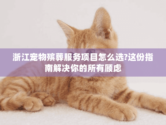 浙江宠物殡葬服务项目怎么选?这份指南解决你的所有顾虑