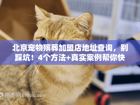 北京宠物殡葬加盟店地址查询，别踩坑！4个方法+真实案例帮你快速找到
