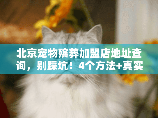 北京宠物殡葬加盟店地址查询，别踩坑！4个方法+真实案例帮你快速找到