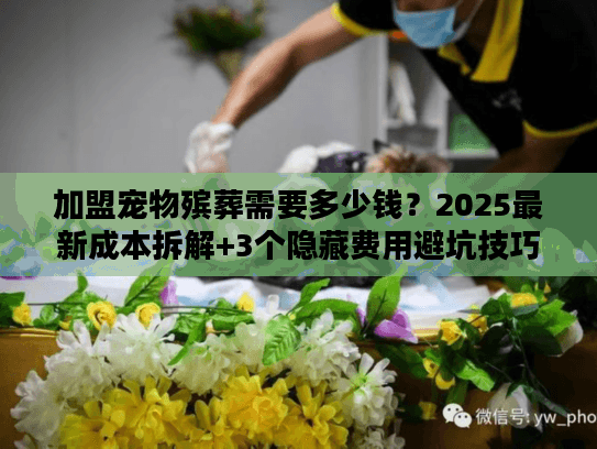 加盟宠物殡葬需要多少钱?2025最新成本拆解+3个隐藏费用避坑技巧 加盟宠物殡葬需要多少钱?2025最新成本拆解+3个隐藏费用避坑技巧