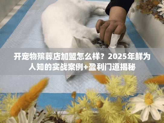 开宠物殡葬店加盟怎么样？2025年鲜为人知的实战案例+盈利门道揭秘