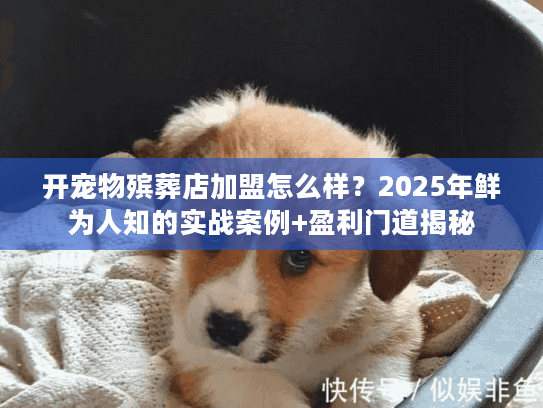 开宠物殡葬店加盟怎么样？2025年鲜为人知的实战案例+盈利门道揭秘