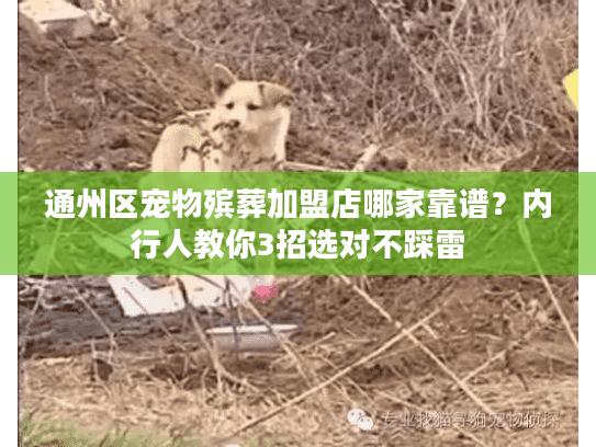 通州区宠物殡葬加盟店哪家靠谱?内行人教你3招选对不踩雷 通州区宠物殡葬加盟店哪家靠谱?内行人教你3招选对不踩雷