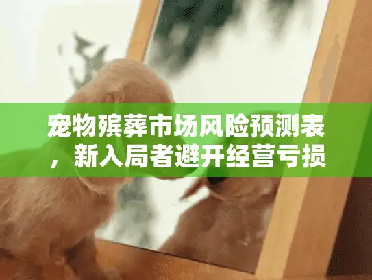 宠物殡葬市场风险预测表，新入局者避开经营亏损的必备工具
