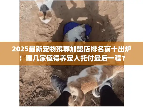 2025最新宠物殡葬加盟店排名前十出炉！哪几家值得养宠人托付最后一程？