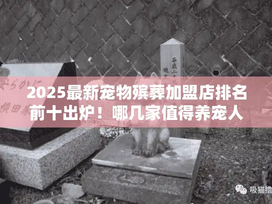 2025最新宠物殡葬加盟店排名前十出炉！哪几家值得养宠人托付最后一程？