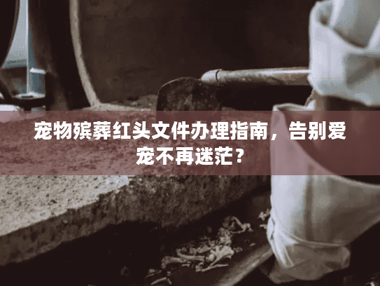 宠物殡葬红头文件办理指南，告别爱宠不再迷茫？