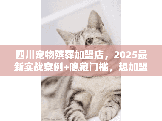 四川宠物殡葬加盟店，2025最新实战案例+隐藏门槛，想加盟该避哪些坑？