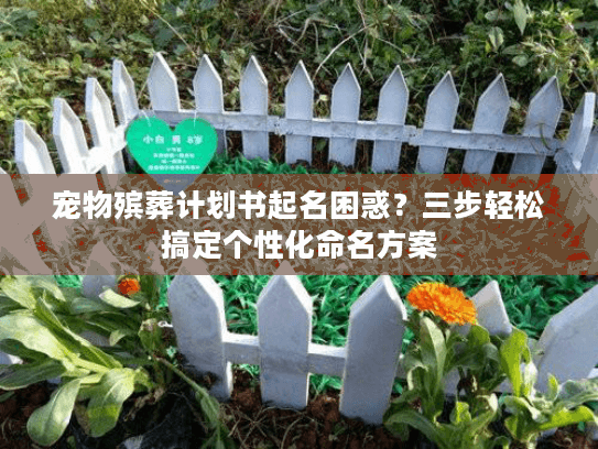 宠物殡葬计划书起名困惑？三步轻松搞定个性化命名方案